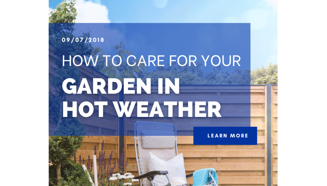 How to care for your Garden in Hot Weather