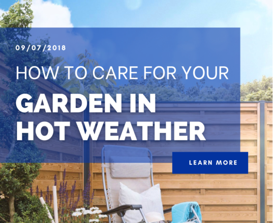 How to care for your Garden in Hot Weather