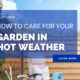 How to care for your Garden in Hot Weather