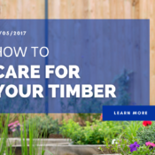 How To Care For Your Timber