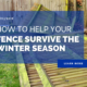 How to help your fence survive the Winter Season