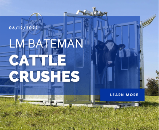 LM Bateman Cattle Crushes