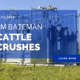 LM Bateman Cattle Crushes