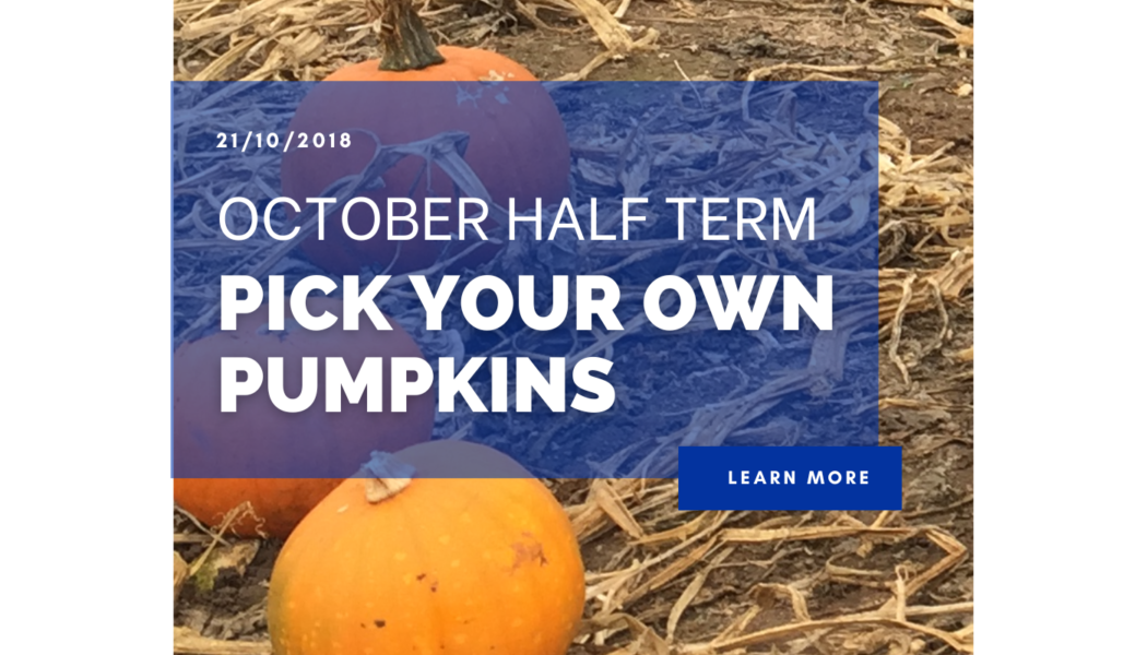 October Half Term – Pick Your Own Pumpkins