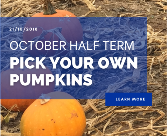 October Half Term – Pick Your Own Pumpkins