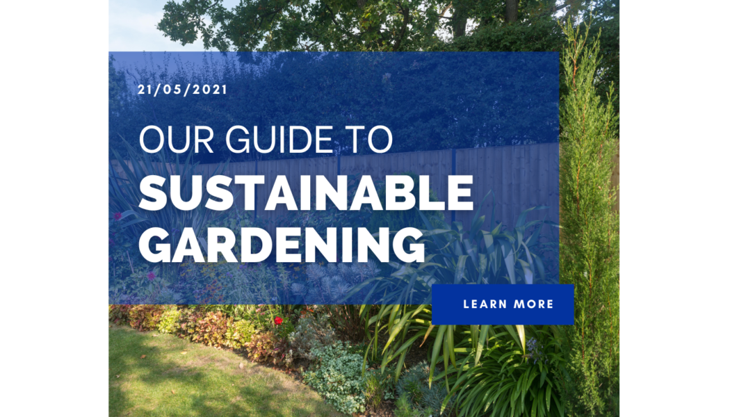 Our guide to sustainable gardening