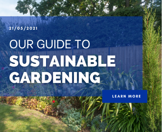 Our guide to sustainable gardening