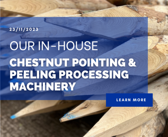 Our In-House Chestnut Pointing & Peeling Processing Machinery