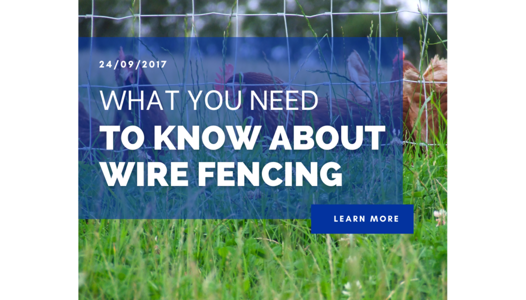 What You need To Know About Wire Fencing