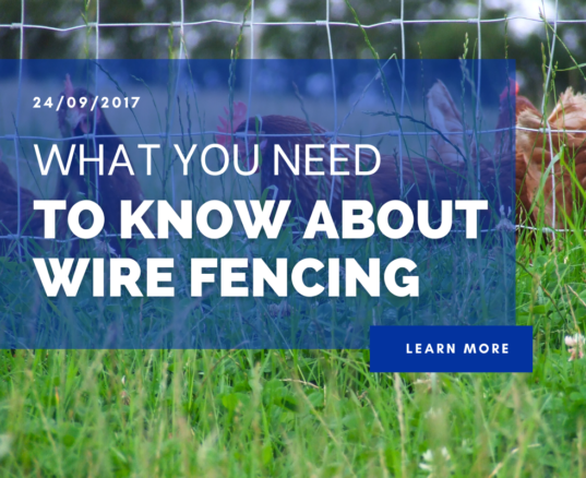 What You need To Know About Wire Fencing