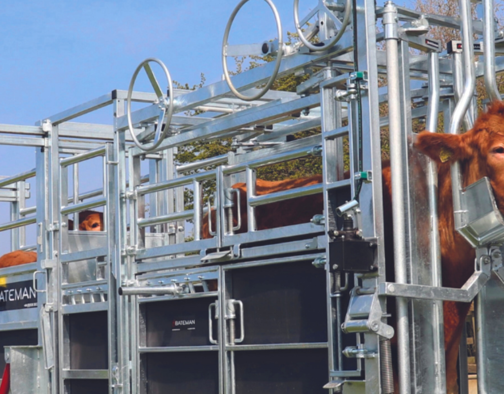 Fencing Supplies in Kent FSF Fencing Supplies Shop Ashford, Kent