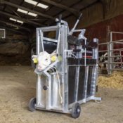 Premium Calf Dehorning Crate