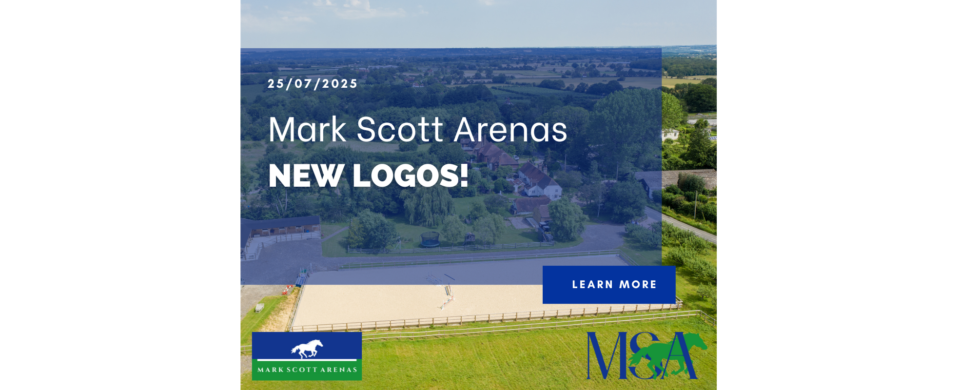 Mark Scott Arenas