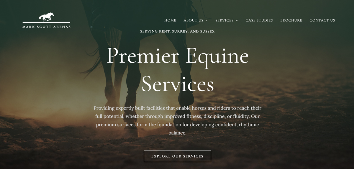 MSA website 1 Mark Scott Arenas new website