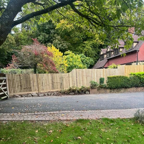 Featheredge Fencing