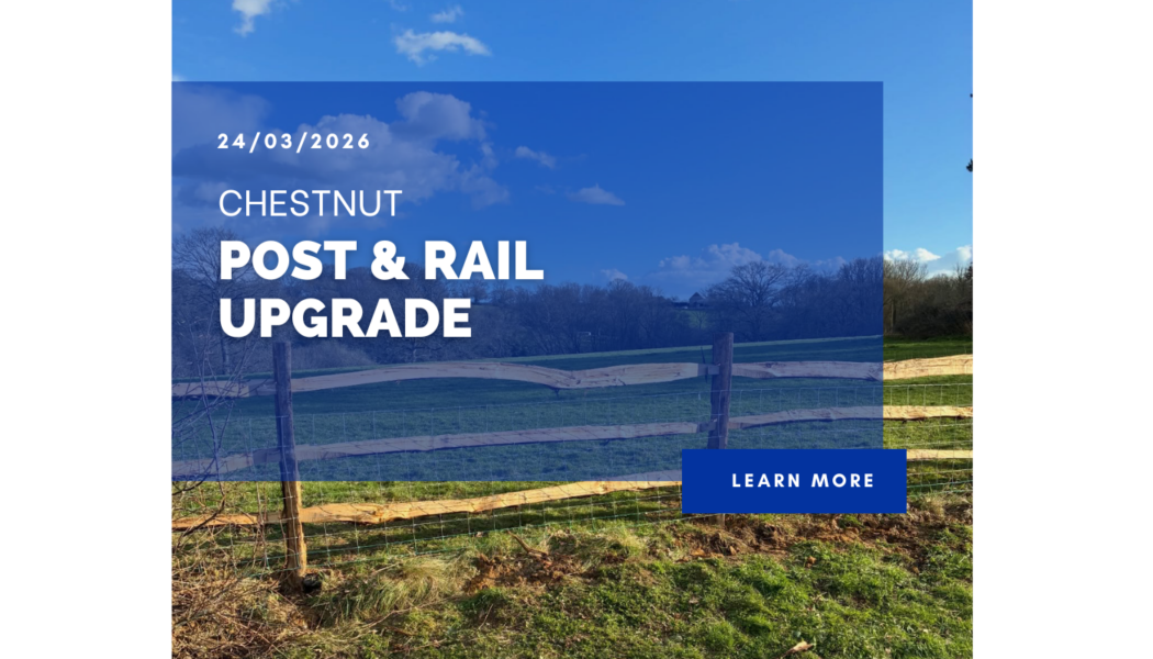 Chestnut Post & Rail Upgrade