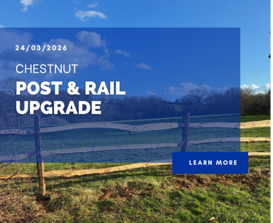 Chestnut Post & Rail Upgrade