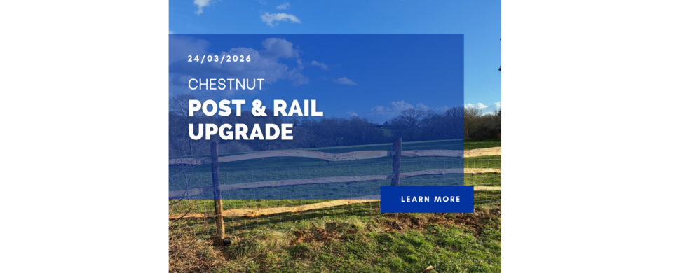 Chestnut Post & Rail Upgrade