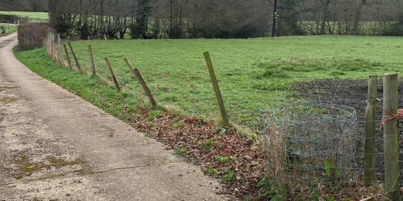 Blog total fence 1 Chestnut Post & Rail Upgrade