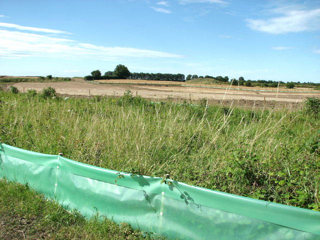 Newt Fencing Installation in Kent