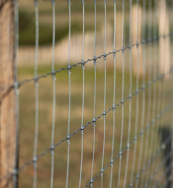 Wire Fencing Installation in Kent Four Seasons Fencing