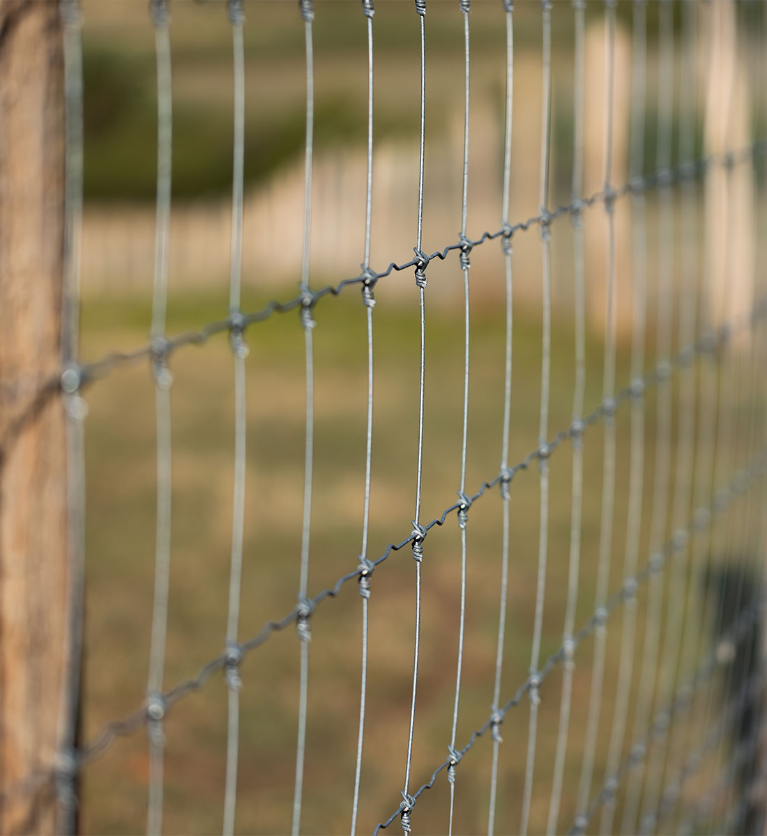 Wire Fencing Installation in Kent