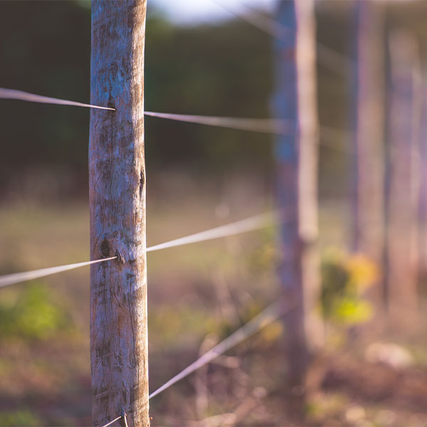 Wire Fencing in Kent