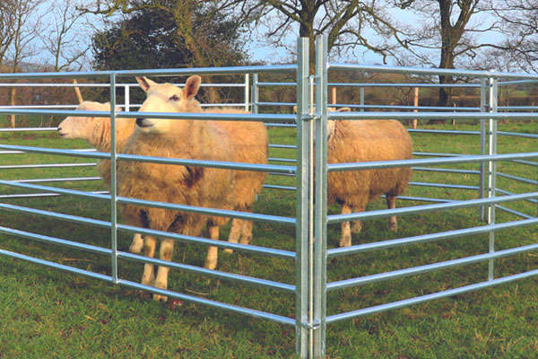 Agricultural Fencing in Kent