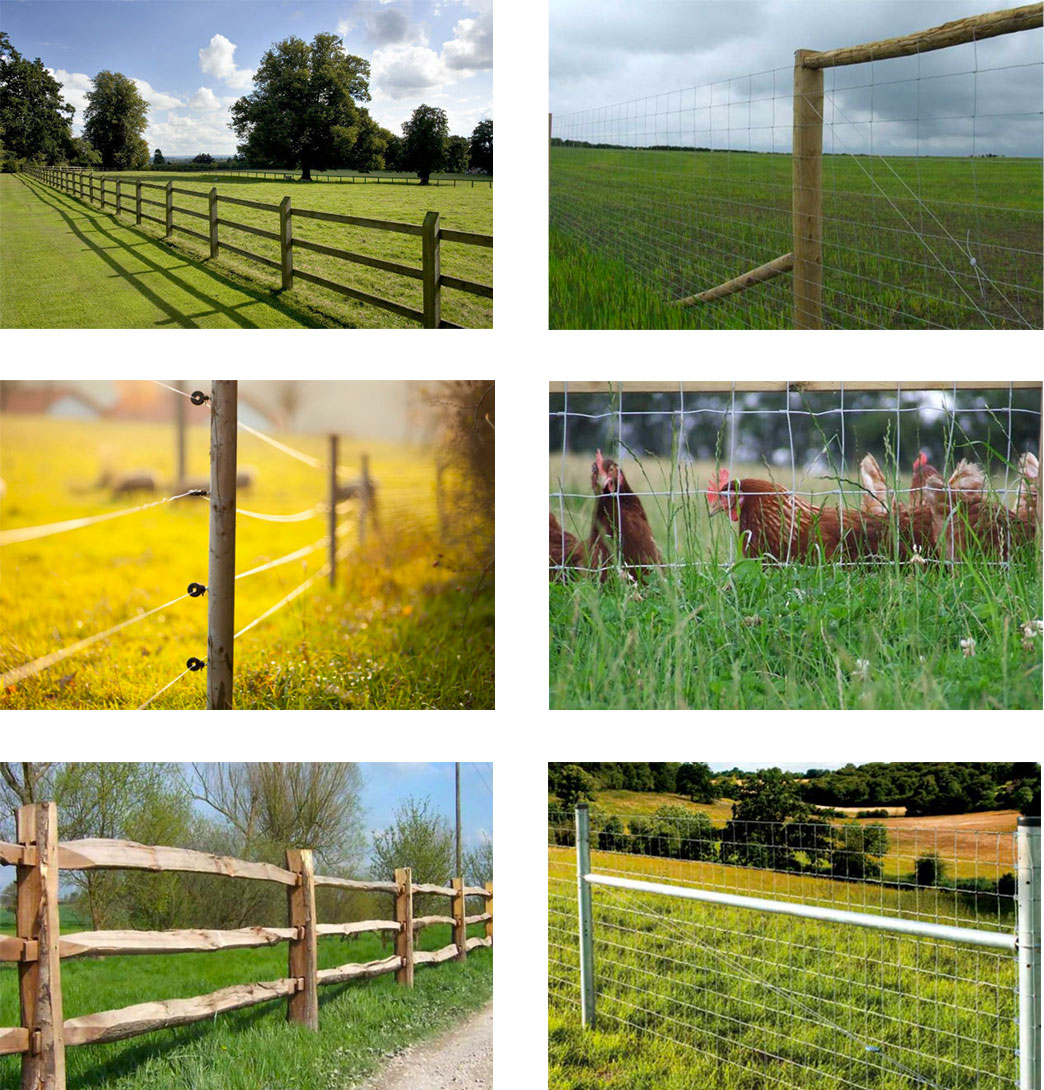 Agricultural Fencing Installation in Kent